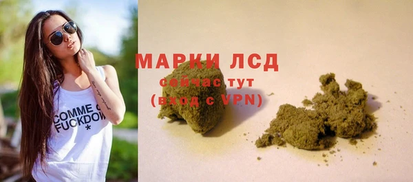 spice Струнино