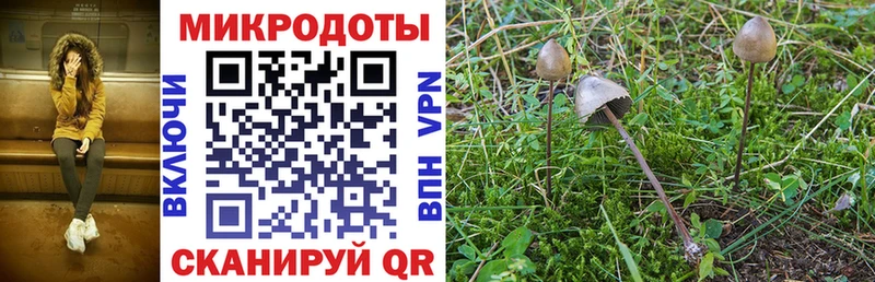 Галлюциногенные грибы Psilocybine cubensis  дарк нет телеграм  Богородск 