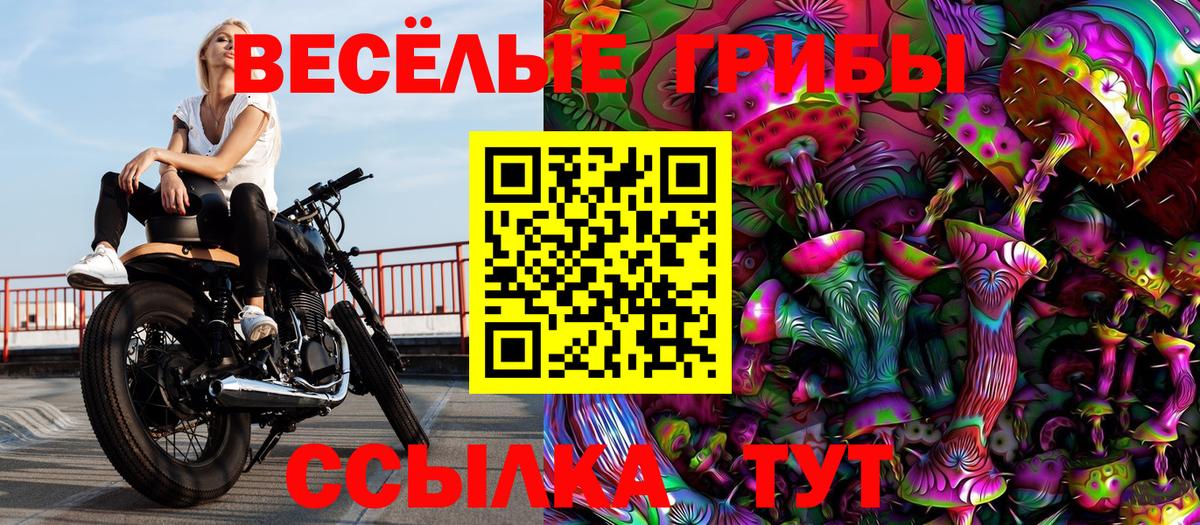 Галлюциногенные грибы Magic Shrooms Богородск