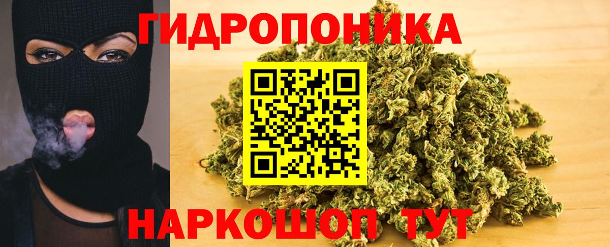 Каннабис планчик  Конопля ГИДРОПОН  Богородск  Конопля план 